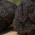 Truffel bereiden