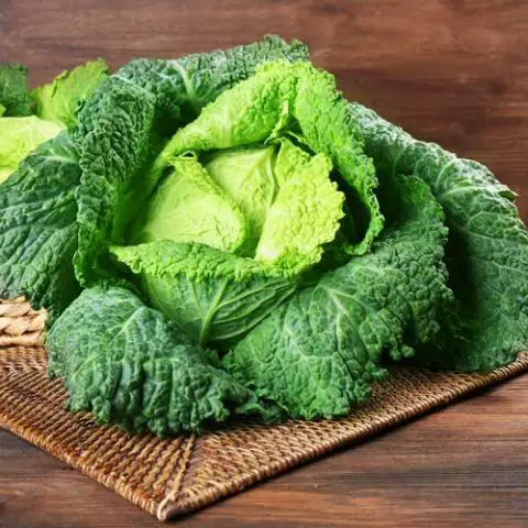 Savooiekool koken