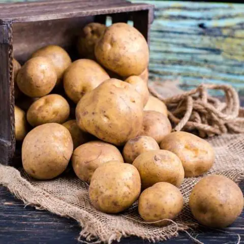 Aardappelen koken
