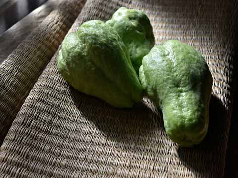 Chayote bereiden
