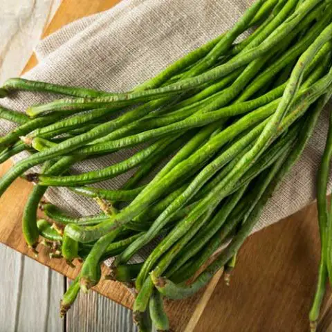 Kousenband koken