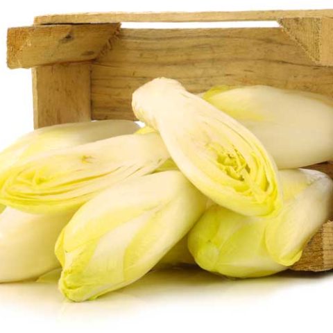 Witlof koken