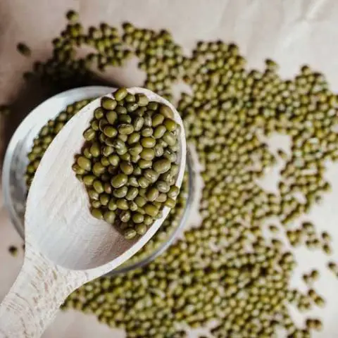 Mungbonen koken
