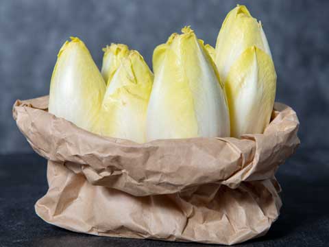 Witlof kweken