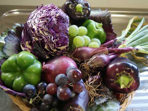 Wat is het verschil tussen groente en fruit?