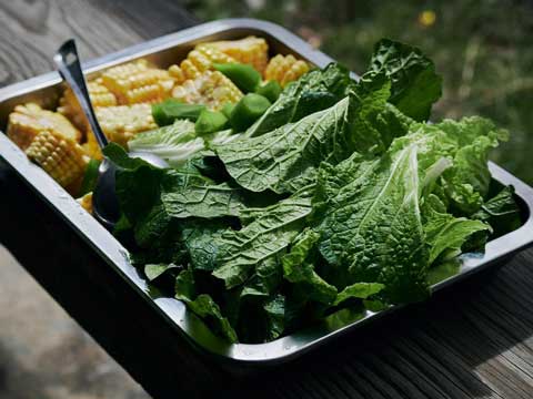 Groente op de barbecue