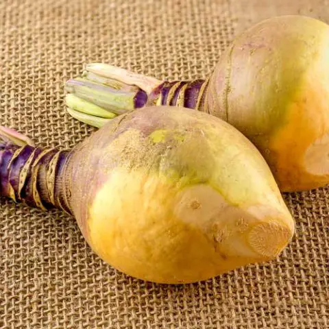 Recept koolraap koken