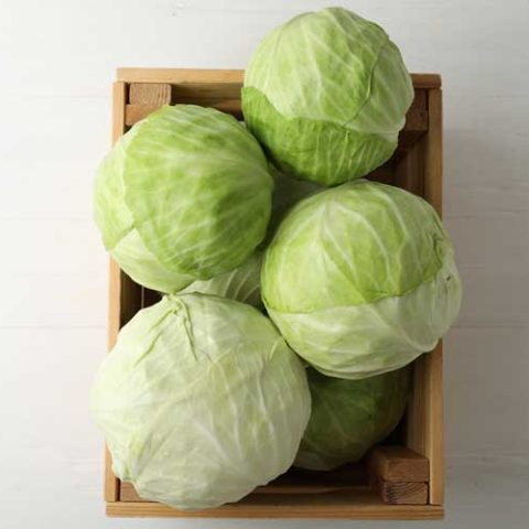 Met deze kool kun je heerlijk koken.