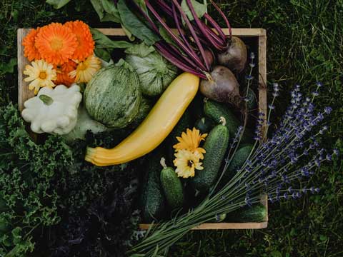 Hoe zijn groenten het gezondst?