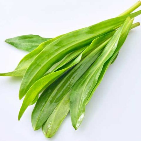 Lamsoor koken