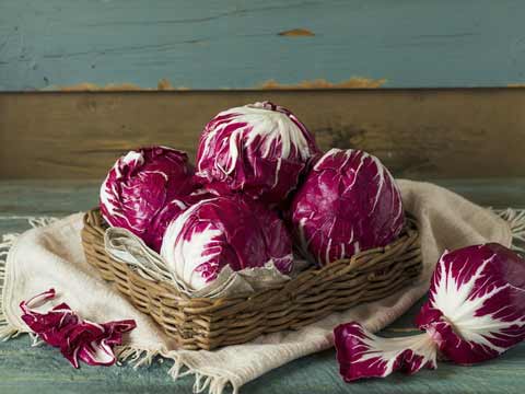 Radicchio bereiden