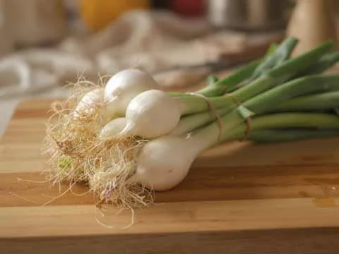 Uien kweken
