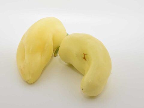 2 gele puntpaprika''s op een witte achtergrond.